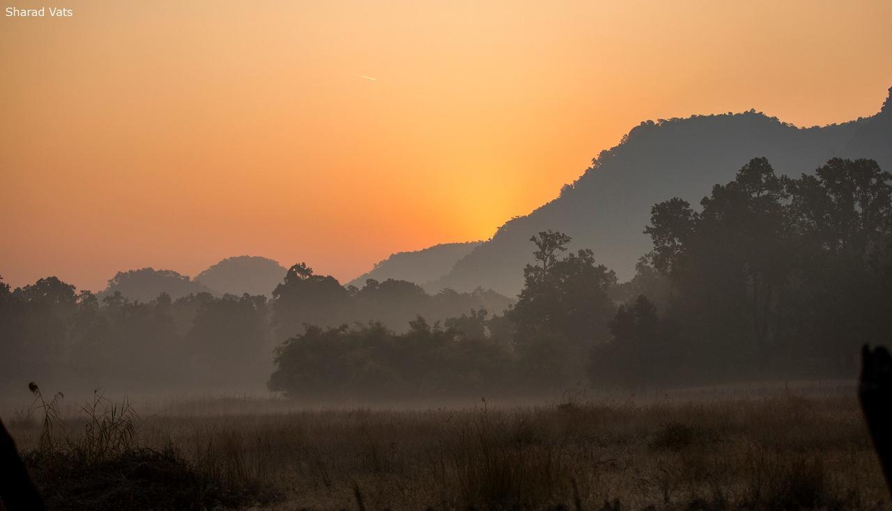 Tiger'S Den Resort Bandhavgarh National Park Exteriör bild